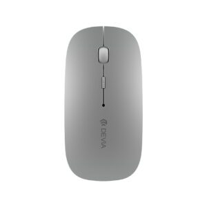 2.4G Wireless Dual Mode Mouse - Silver